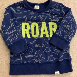Toddler dinosaur sweatshirt
